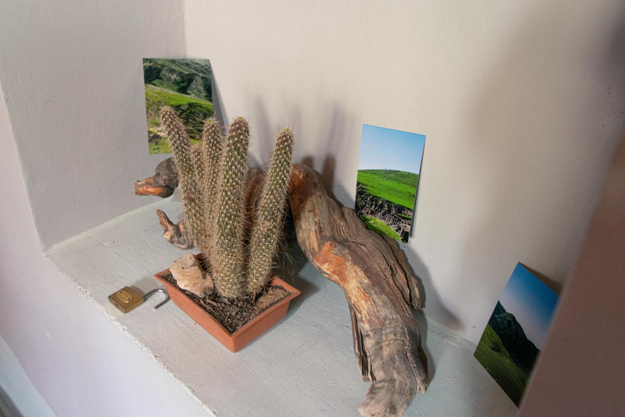 Acusi Hostel Camping Humahuaca Luaran gambar